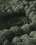 Vue aérienne d’un labyrinthe végétal symbolisant la complexité du partage des biens après un divorce
