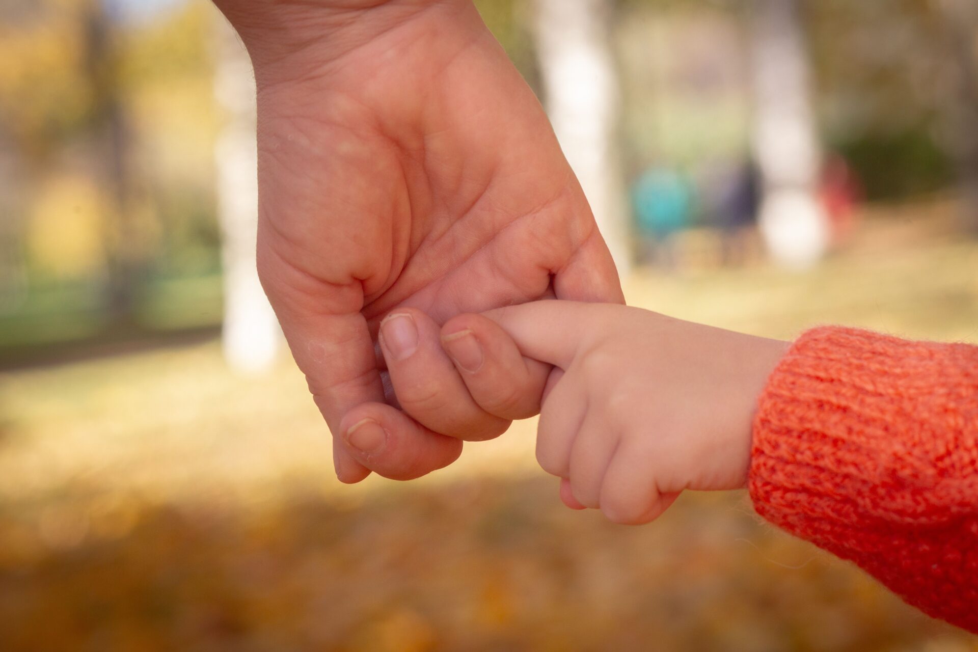 Main d’un adulte tenant le doigt d’un jeune enfant lors d’une promenade d’automne, image de la garde alternée et de la pension alimentaire